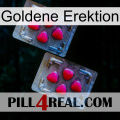 Golden Erection 14